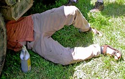 Tom Self-Lubricates