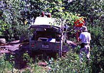Andrew's 80
