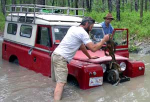 Dave Stuck